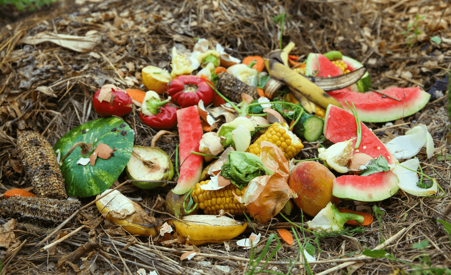 Minimize Food Waste by composting fruit and vegetable scraps, including watermelon rinds, corn cobs, banana peels, and other organic matter.