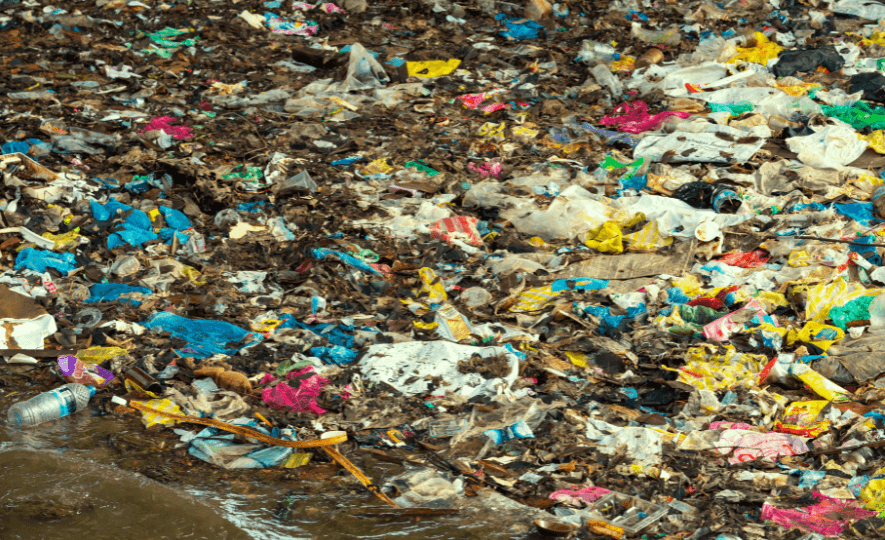 A polluted area filled with single-use plastic bags, bottles, and debris, demonstrating the harmful impact of plastic waste. Reduce Single-Use Plastics.