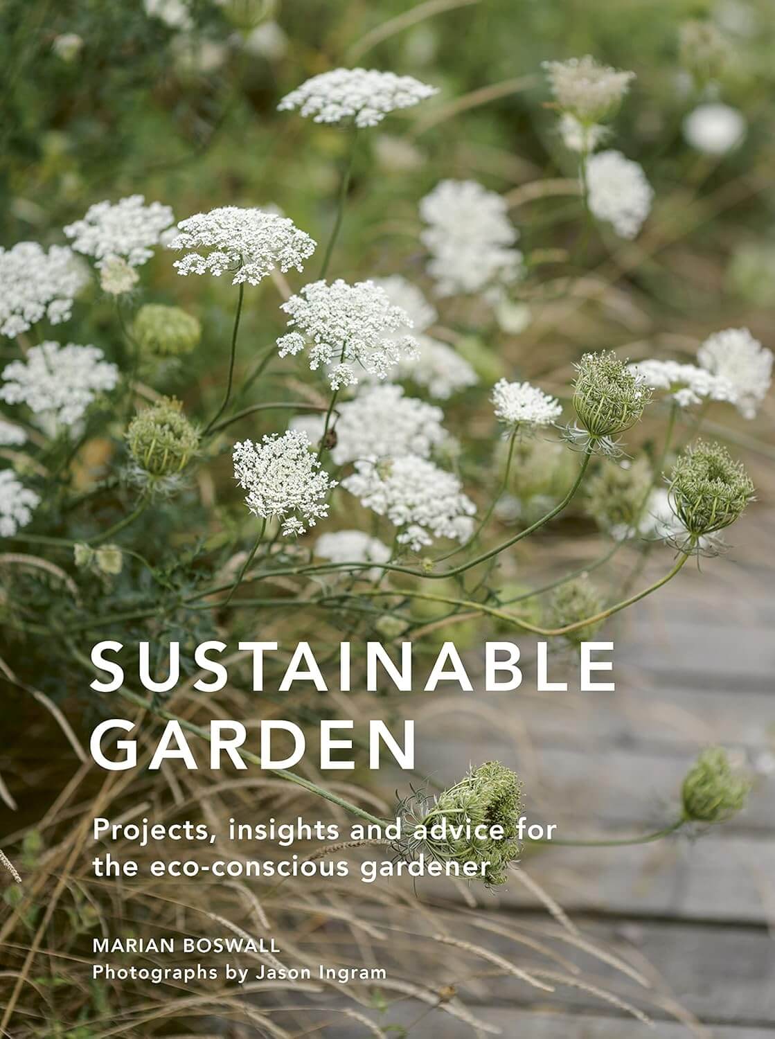 Sustainable Garden Projects, insights, and advice for the eco-conscious gardener